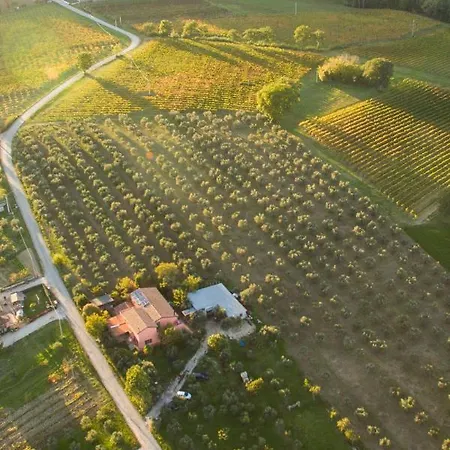 Casale Mi Cantino Bevagna
